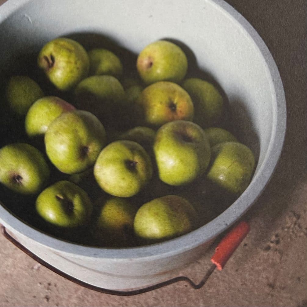 A grey bucket filled with green apples, placed on a rough, gray surface. The bucket has a red handle.