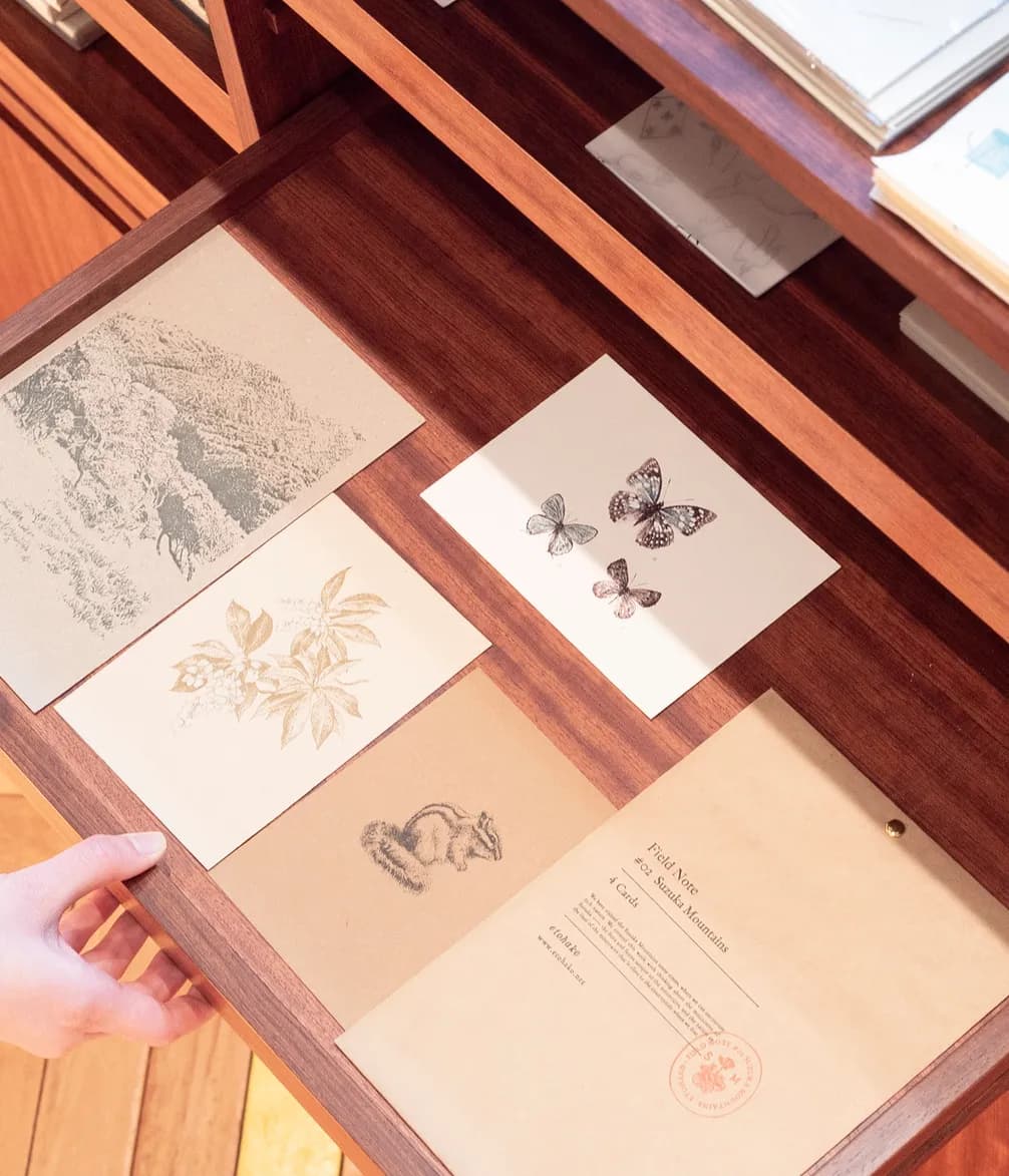 A hand pulls open a wooden drawer revealing nature-themed cards: illustrations of mountains, butterflies, a chipmunk, and flowers. A "Field Note" card pack is visible.