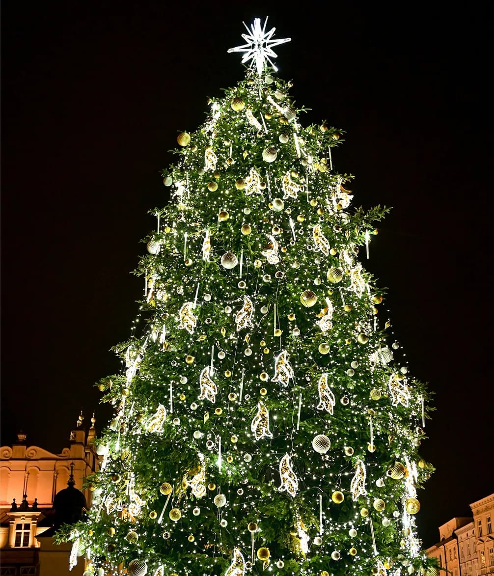 A large, illuminated Christmas tree adorned with white and gold lights and ornaments, topped with a star, set against a dark night sky.