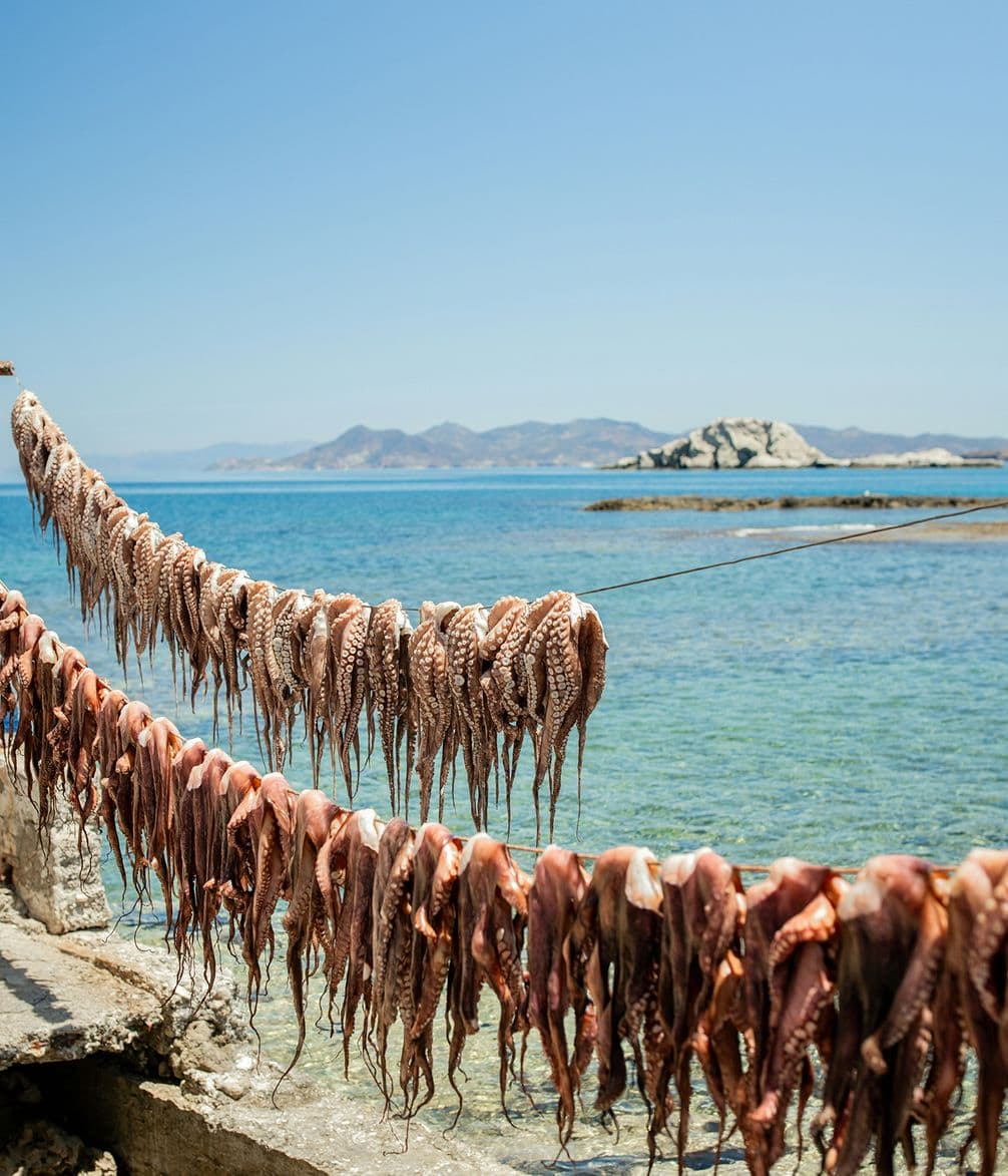 Octopus hanging to dry in Paros, Greece