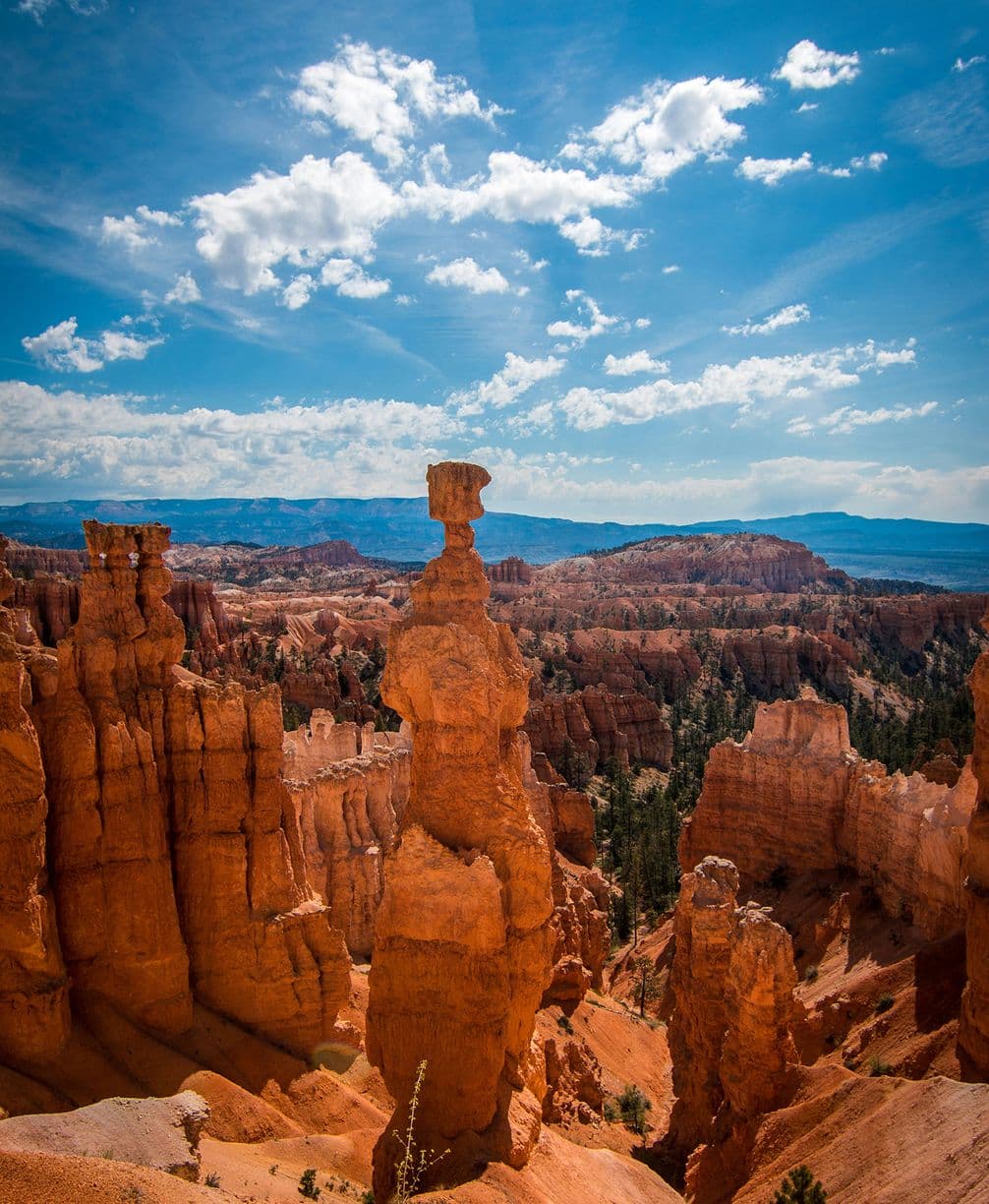 Bryce Canyon National Park with tall, unique red rock formations and hoodoos under a partly cloudy blue sky.