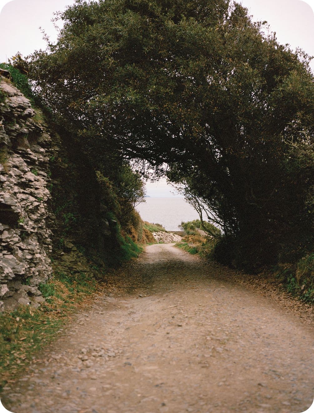 Dirt path leading through a natural archway of trees and rocks, with a glimpse of the sea in the distance under a cloudy sky.