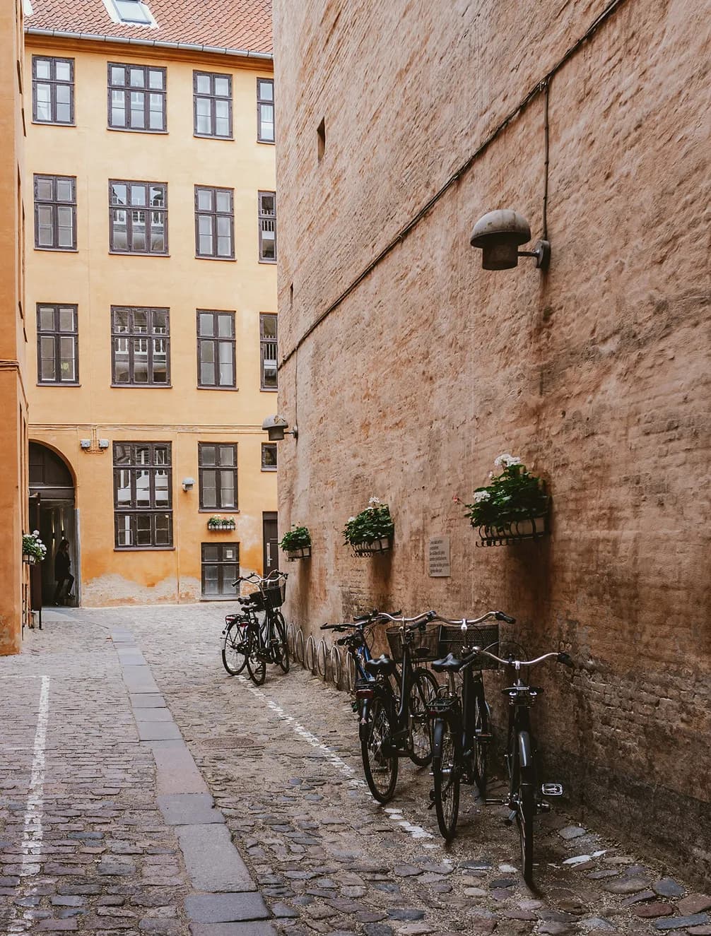 Narrow cobblestone alley with parked bicycles against a brick wall, surrounded by warm-toned buildings with potted plants on window sills.