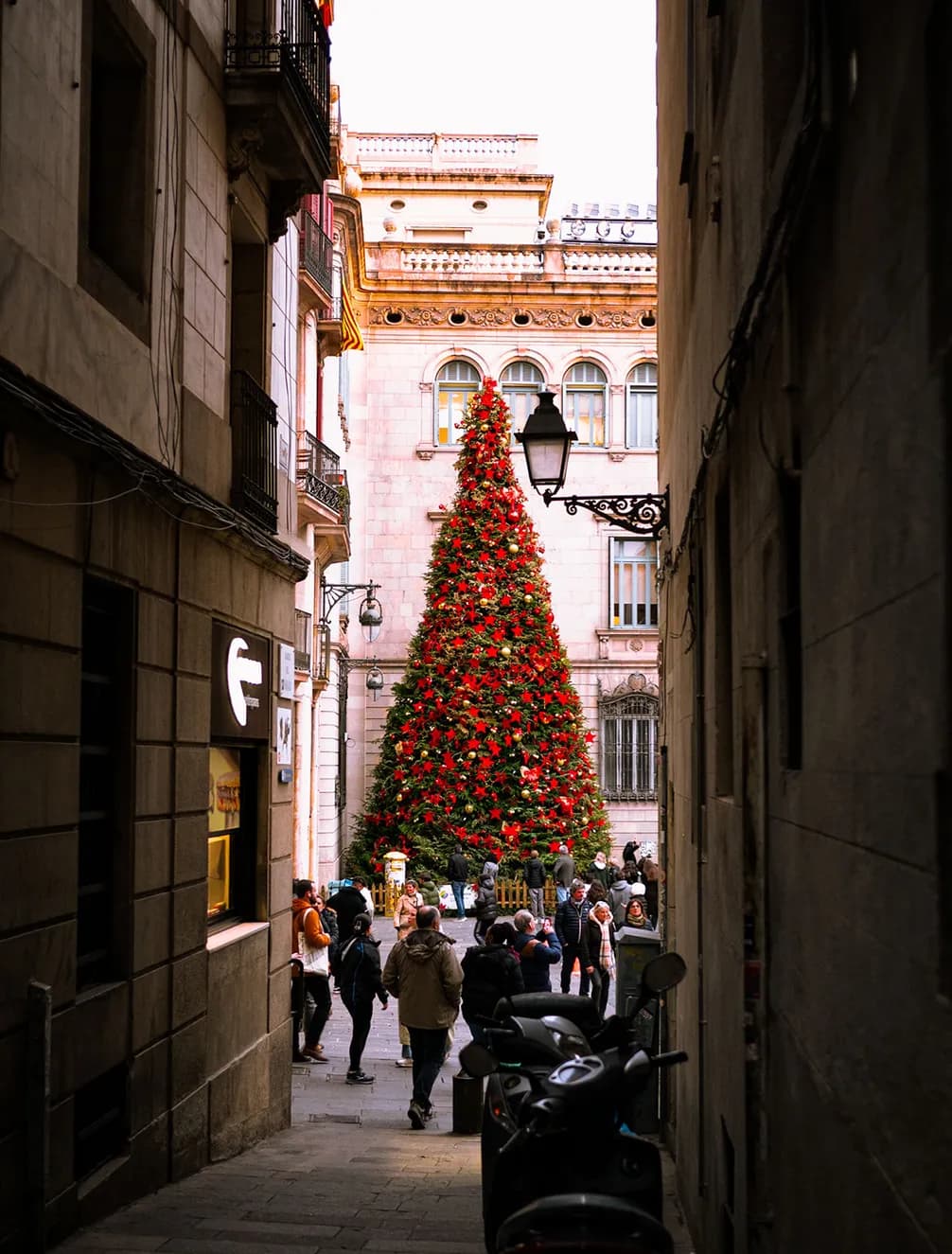 Tall Christmas tree adorned with red ornaments stands in a courtyard, surrounded by people. Historical building in the background, framed by narrow alley.