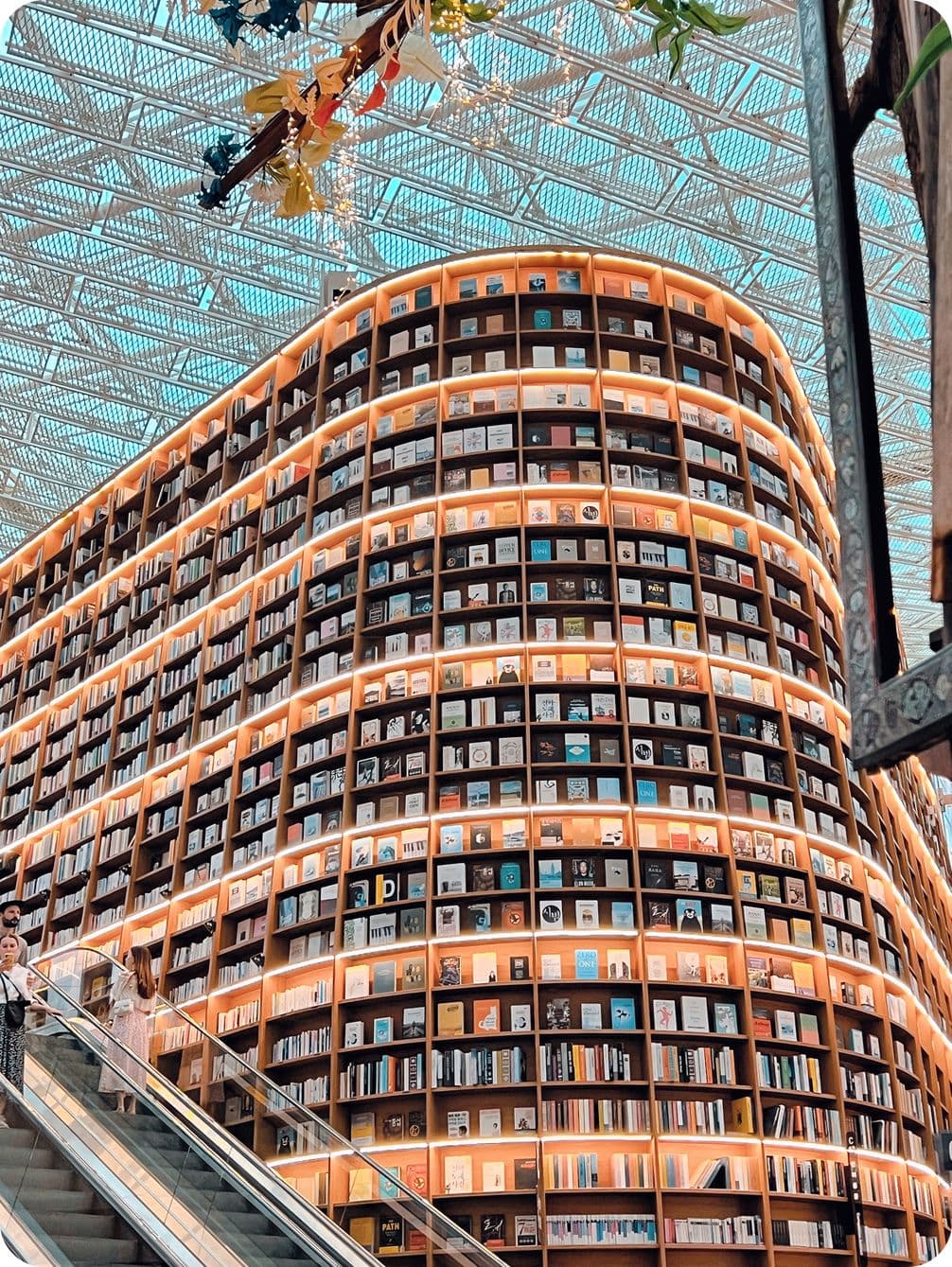 Expansive, curved library wall filled with books under a glass ceiling, with an escalator on the left and colorful decorations above.