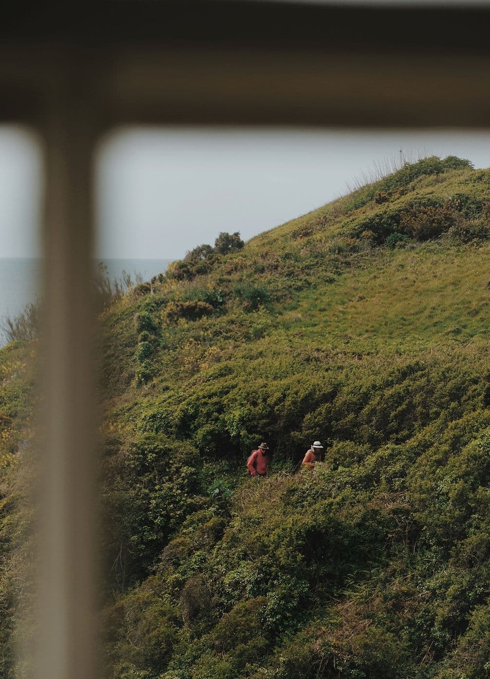 View through window of two people in colorful jackets walking on a lush, green hillside near the sea.