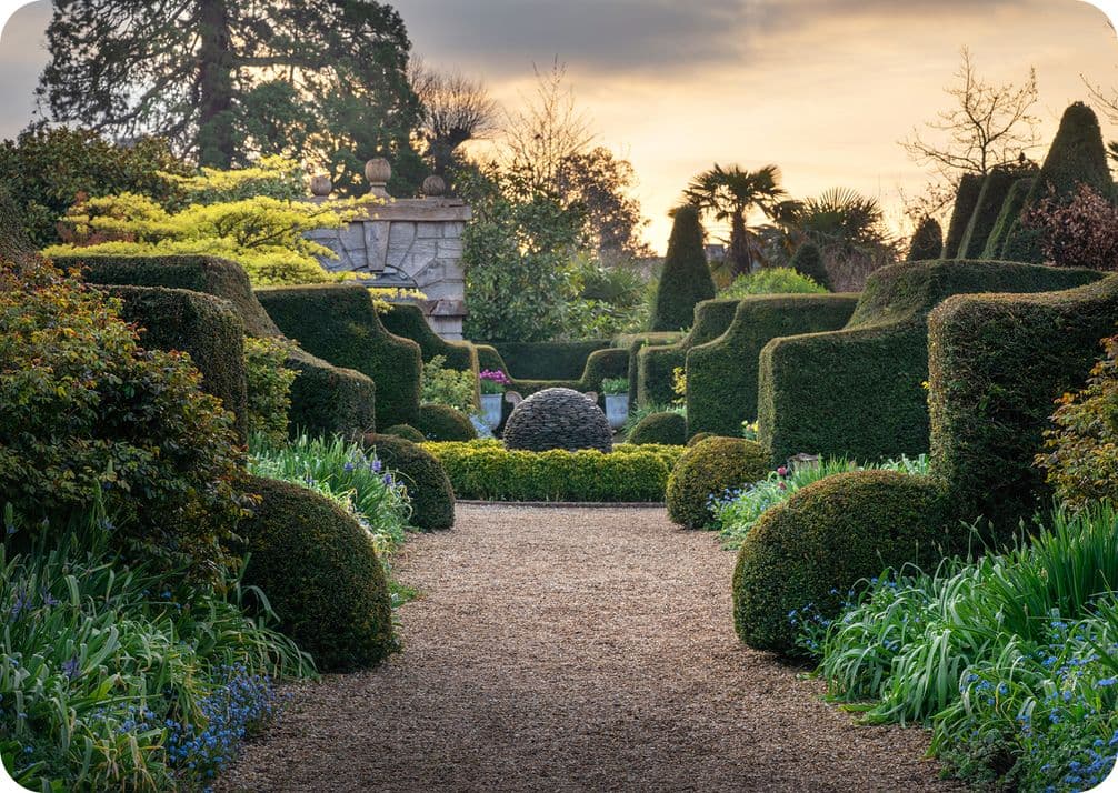 A formal garden with neatly trimmed hedges, a gravel path, and various plants at sunset, creating a serene and structured landscape.