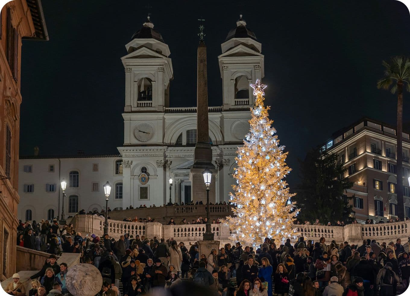 A festive Christmas tree lights up a crowded plaza at night, with a historic church and obelisk in the background.