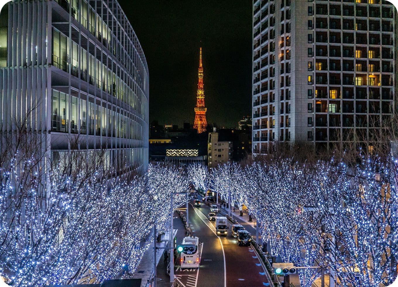 City street adorned with blue lights on trees, flanked by modern buildings, with a brightly lit tower in the background at night.