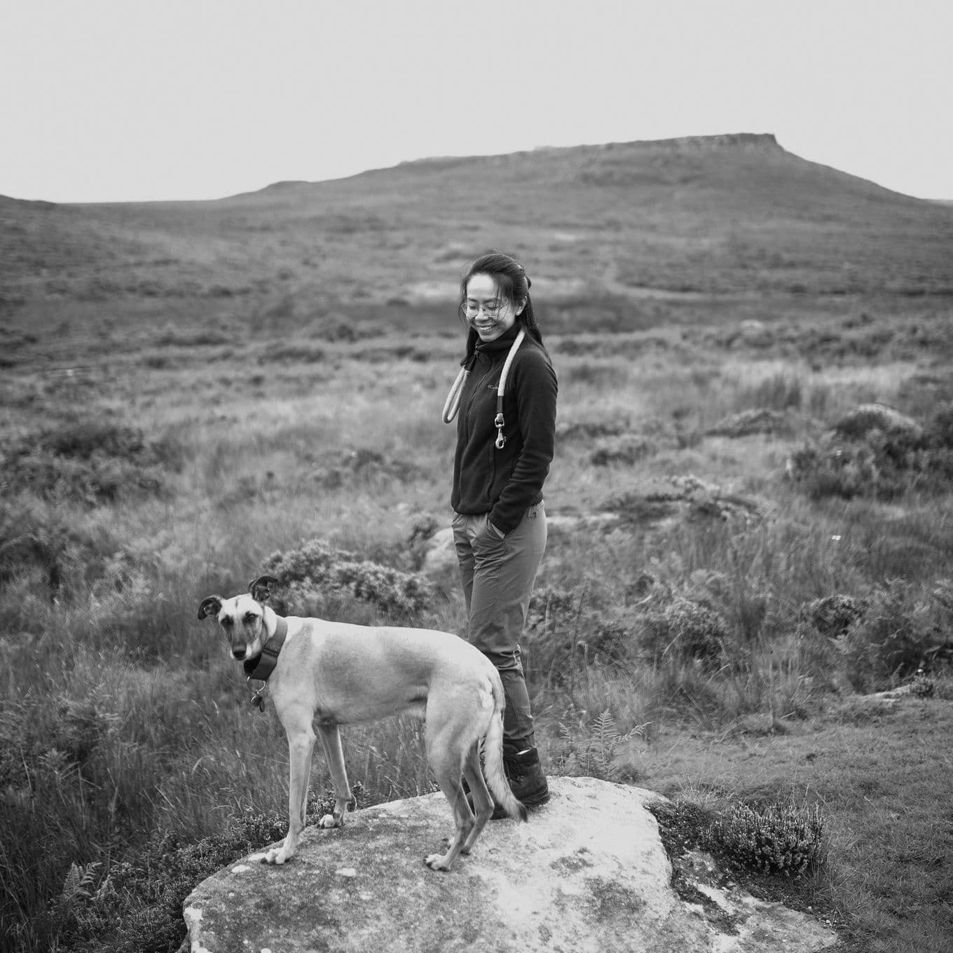 A dog being walked without a lead in grasslands, photographed in black and white