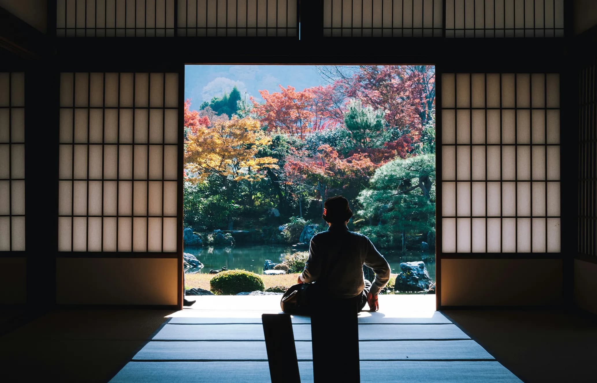 Person sitting in a traditional Japanese room, gazing at a vibrant garden with autumn trees through open sliding doors.