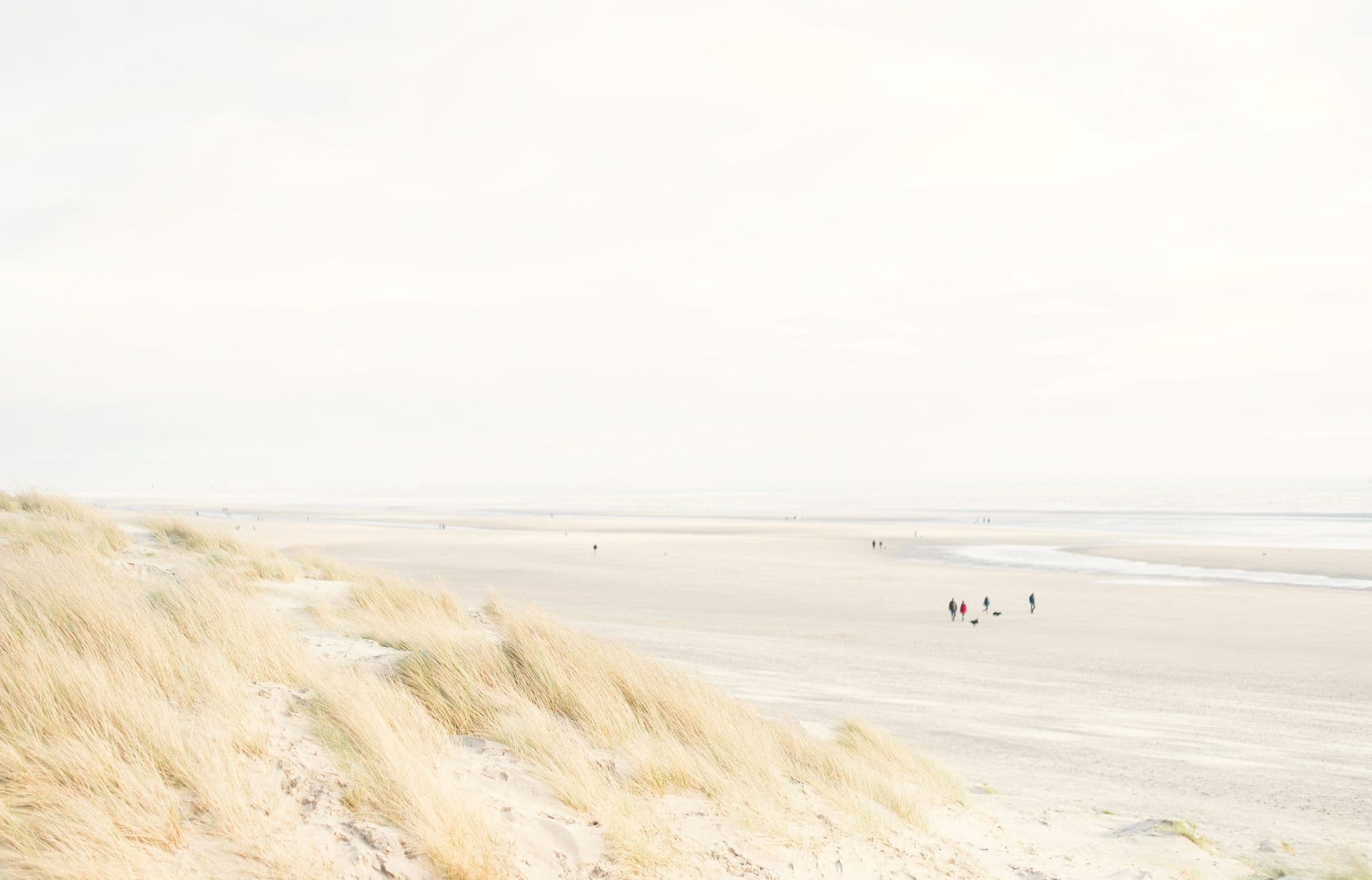 Sandy beach with grass-covered dunes under a bright, overcast sky. Few people walk along the shore, creating a serene and expansive scene.