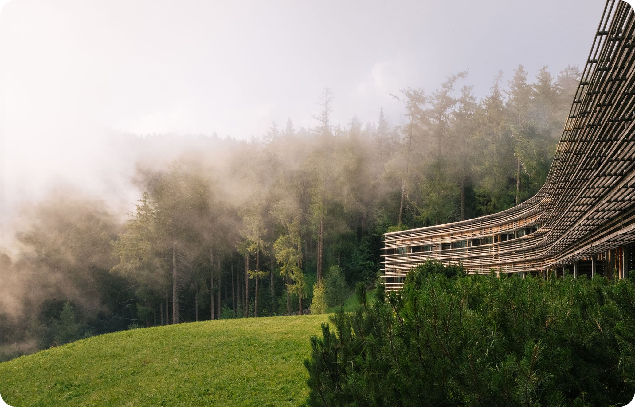 Mist rolling amid pines and spruce alongside Alpine hotel