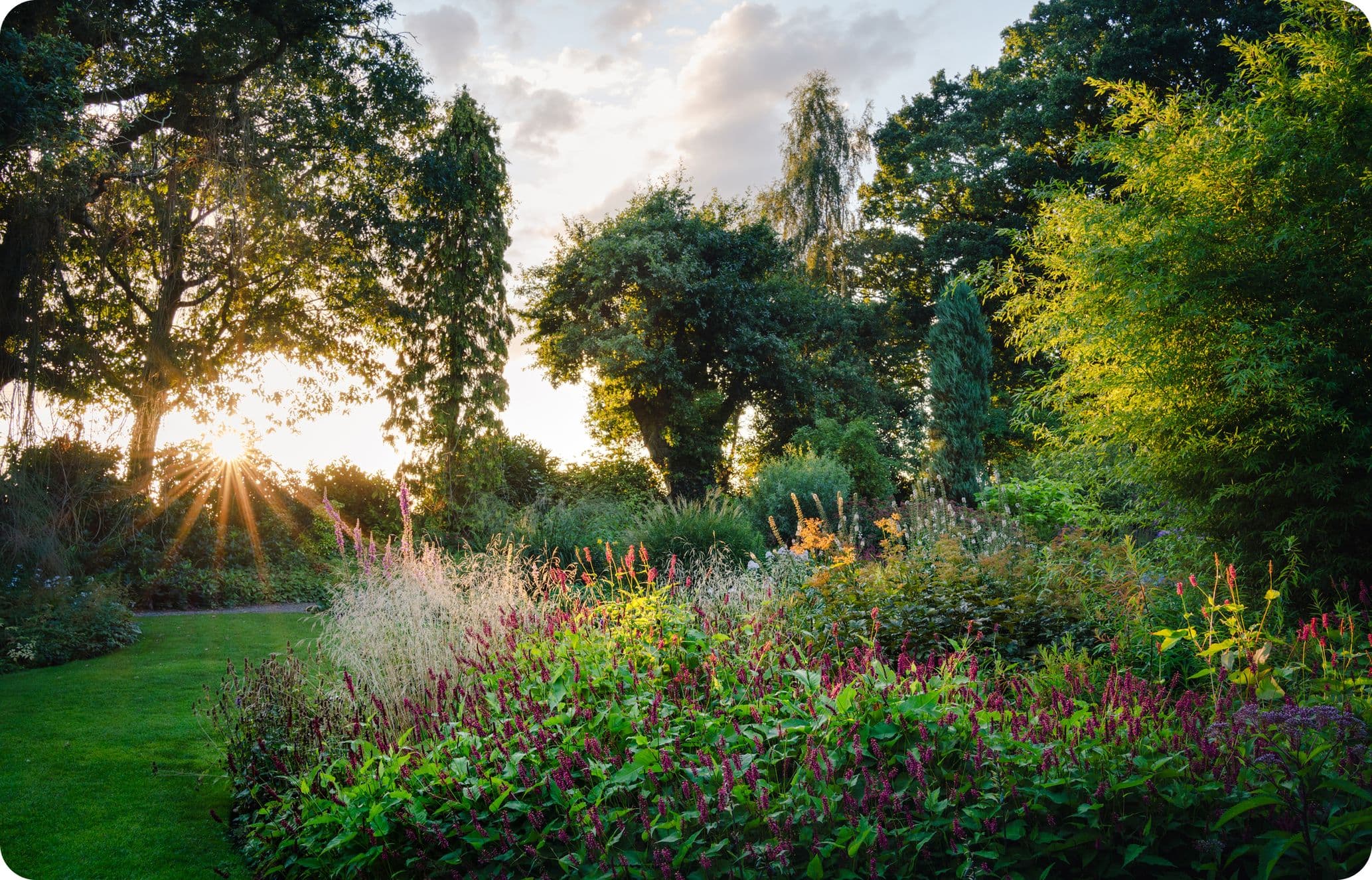Sunset over a lush garden with vibrant flowers, tall trees, and a well-manicured lawn, creating a serene and colorful landscape.