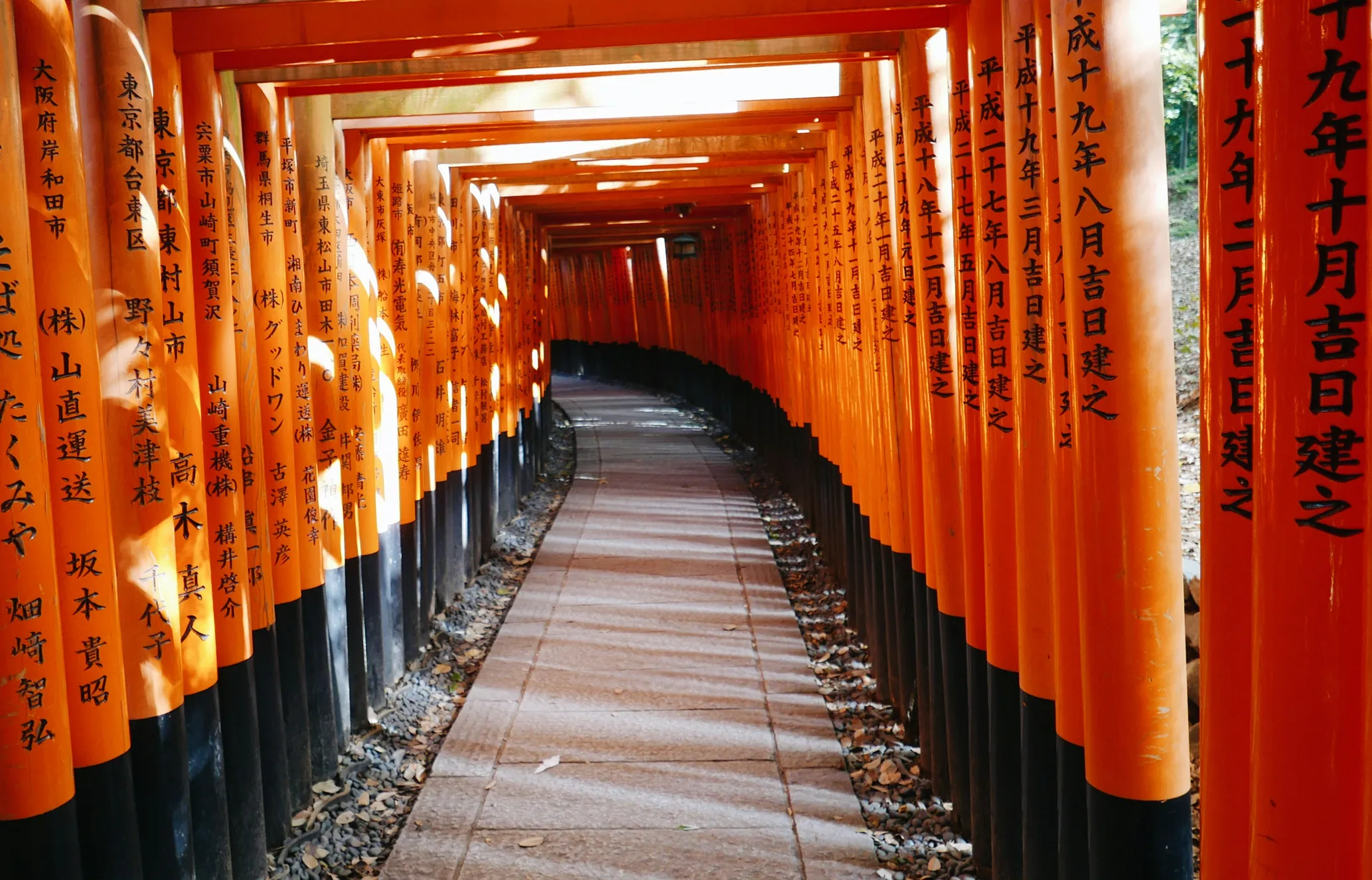 A path lined with numerous orange torii gates inscribed with Japanese characters, creating a tunnel-like effect in soft sunlight.