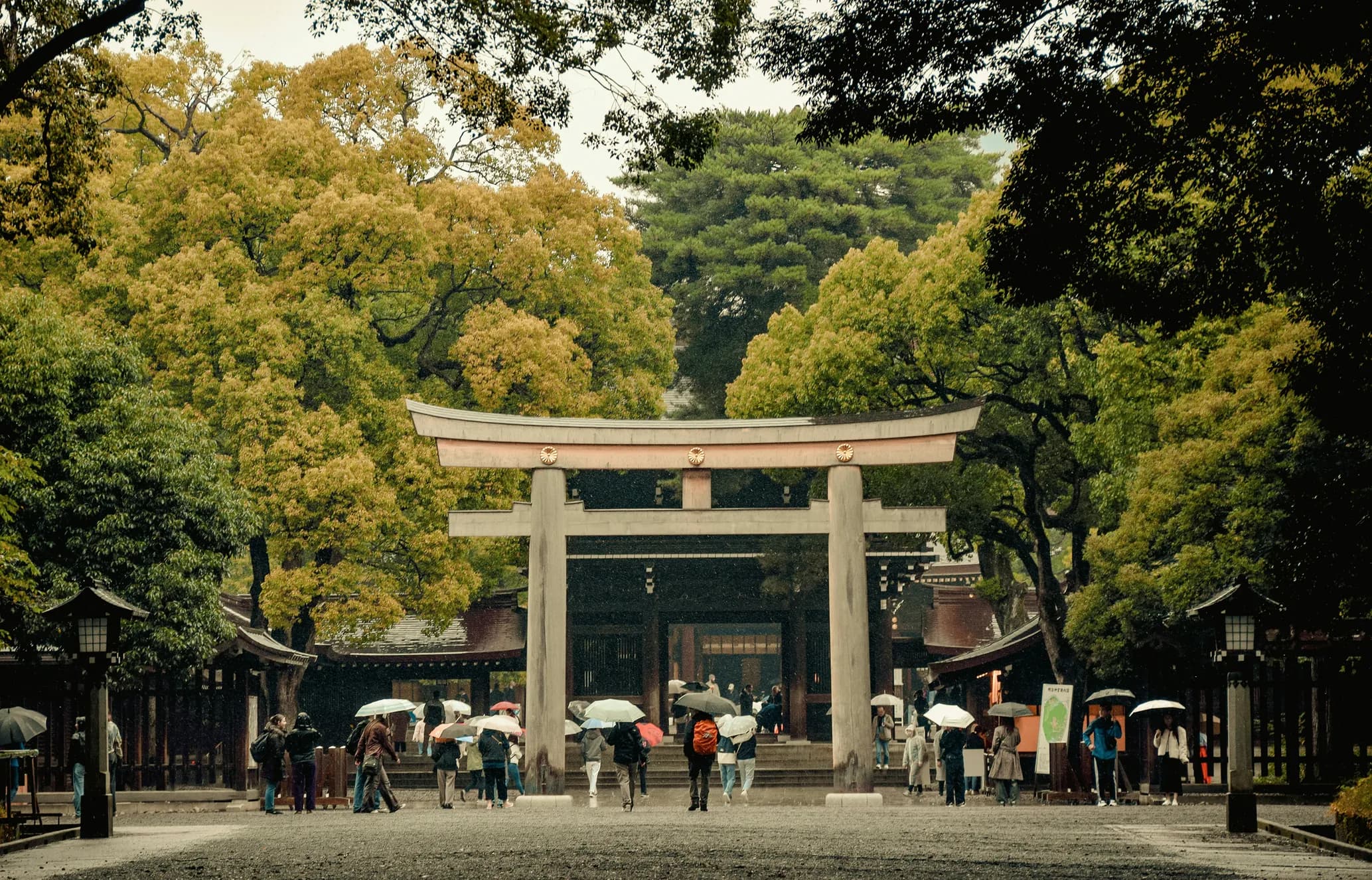 People under umbrellas walk towards a traditional Japanese torii gate surrounded by lush green trees.