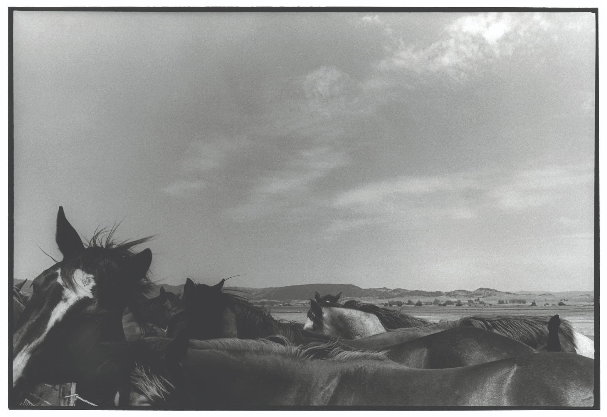 Black-and-white photo of a crowded herd of horses in the foreground beneath a vast cloudy sky and distant rolling hills.