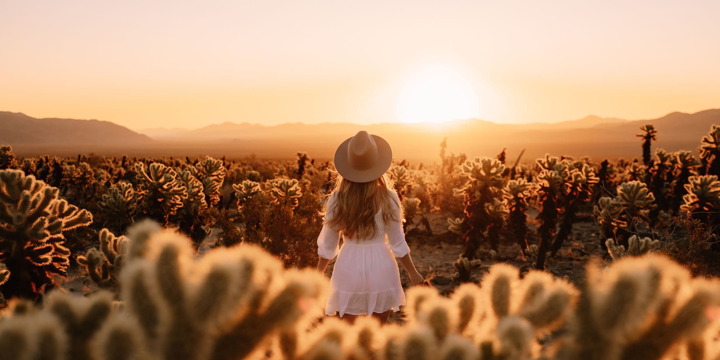 A woman stands with her back to the camera wearing a white dress and hat in the middle of a cactus-filled desert while the sun sets on the horizon ahead