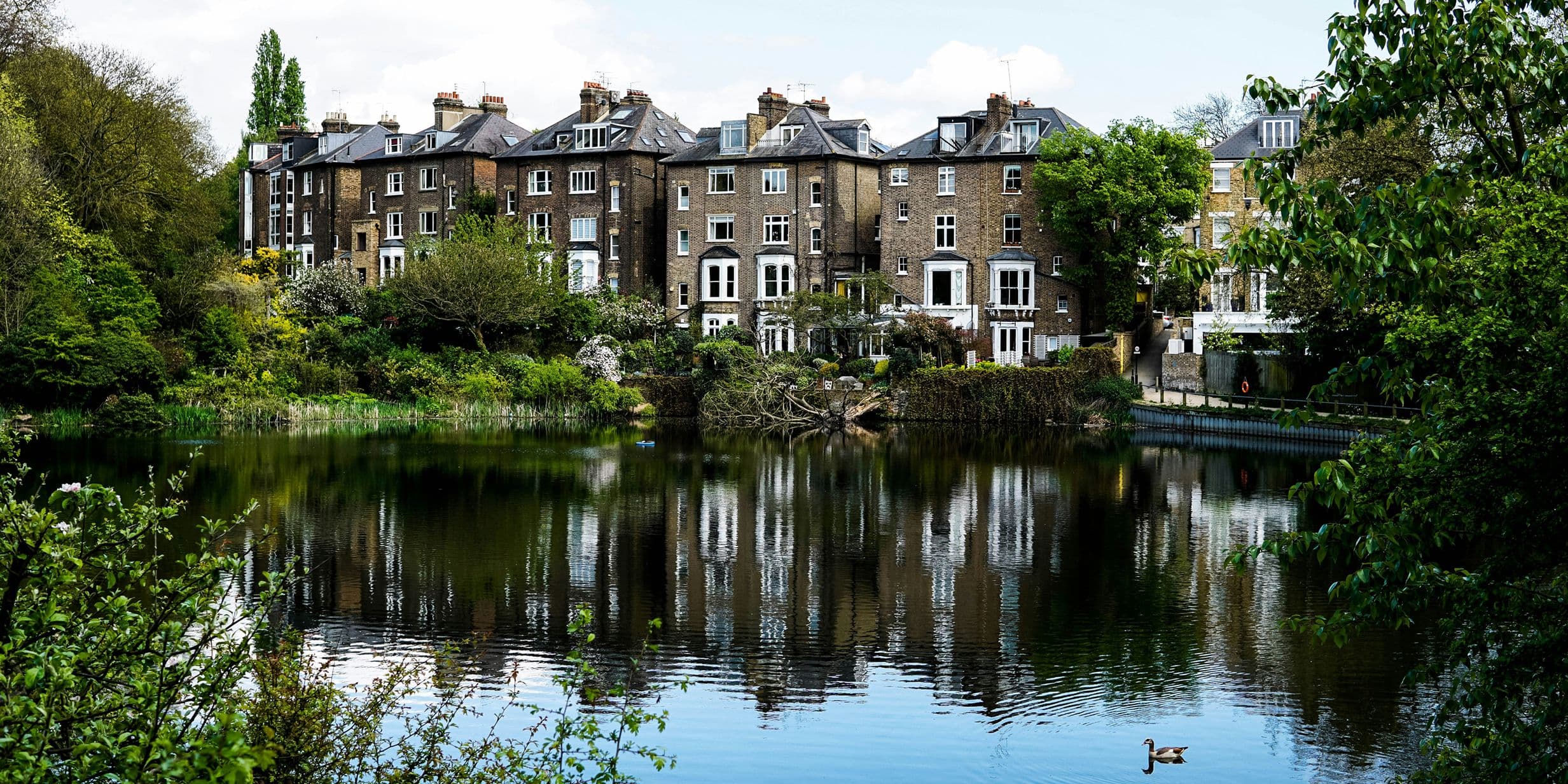 A row of brick houses reflected in a tranquil pond, surrounded by lush greenery and trees, with a single duck swimming in the foreground.