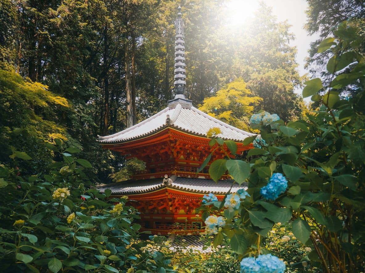 Six iconic shots: photographing Kyoto like a local