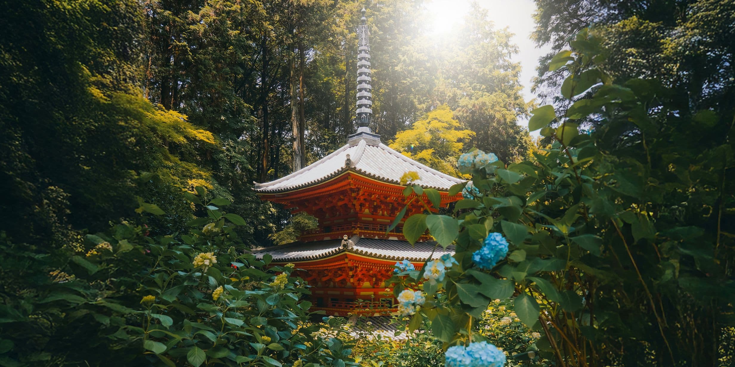 Six iconic shots: photographing Kyoto like a local