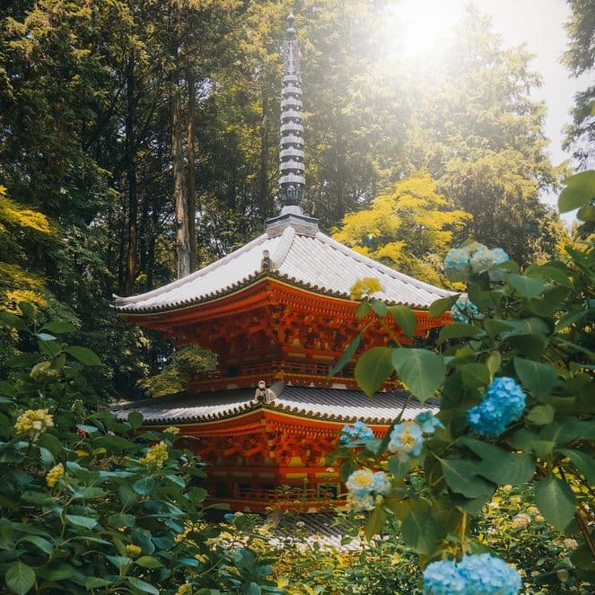 Six iconic shots: photographing Kyoto like a local
