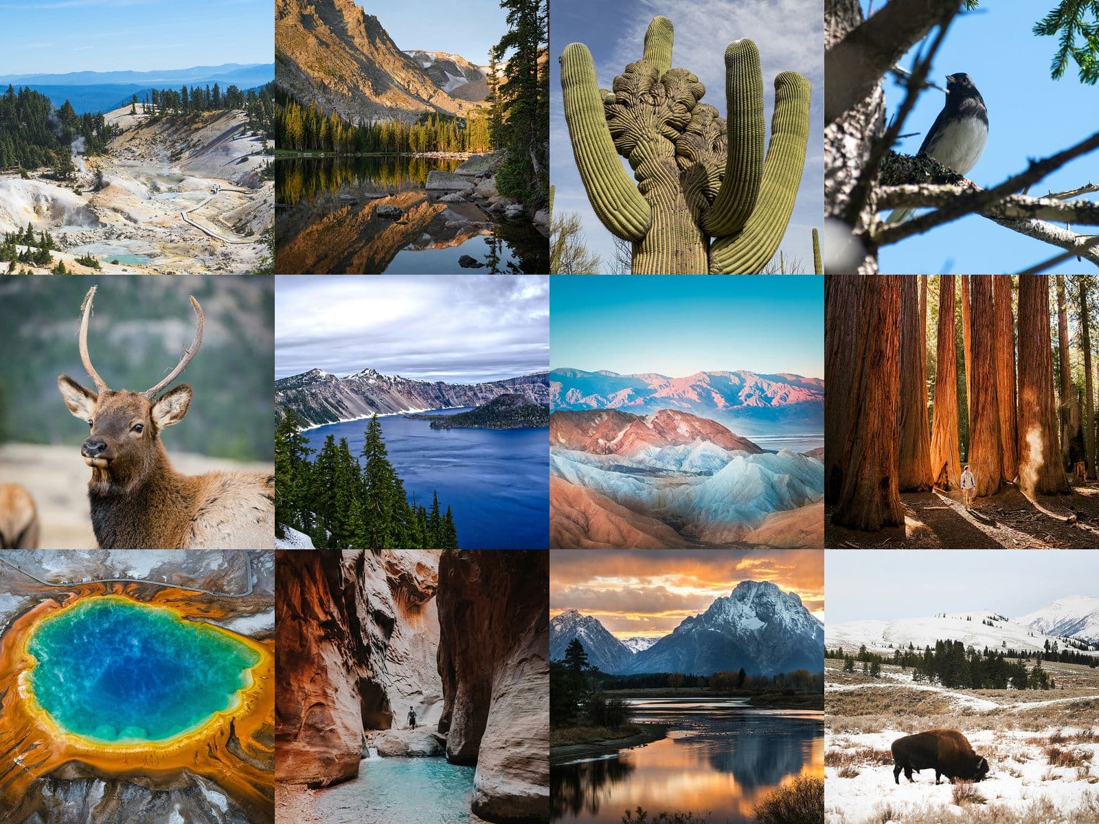 A collage image of various US National Parks