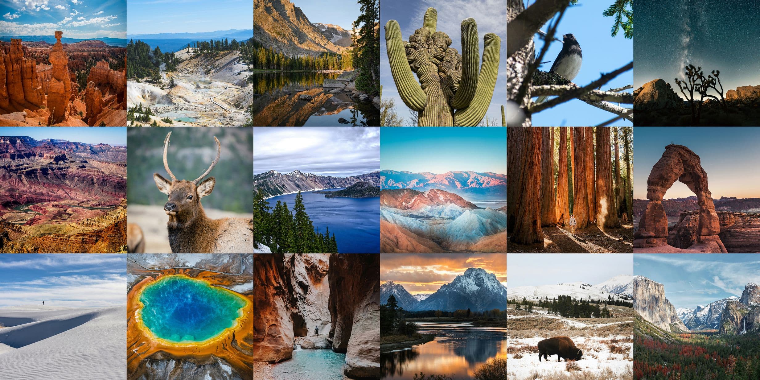A collage image of various US National Parks