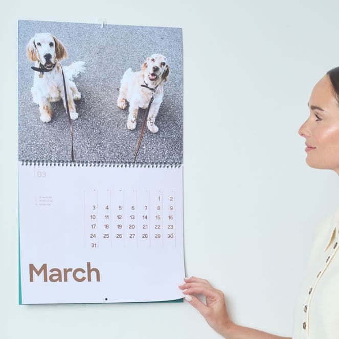 The calendar that keeps up with your life