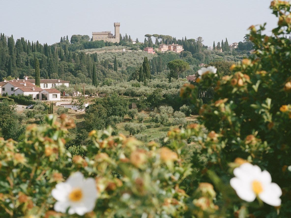 Countryside with blooming white flowers, distant hills, and a castle on the horizon surrounded by greenery under a clear sky.
