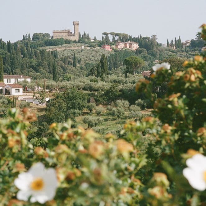 Countryside with blooming white flowers, distant hills, and a castle on the horizon surrounded by greenery under a clear sky.