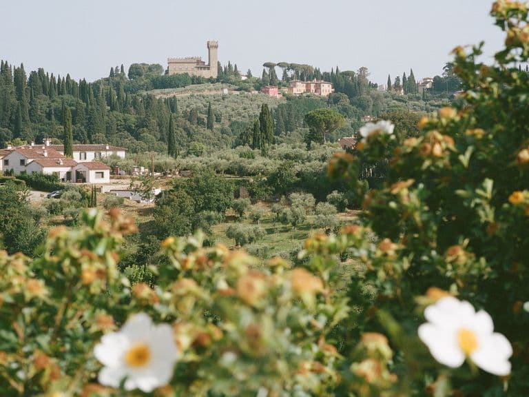Countryside with blooming white flowers, distant hills, and a castle on the horizon surrounded by greenery under a clear sky.