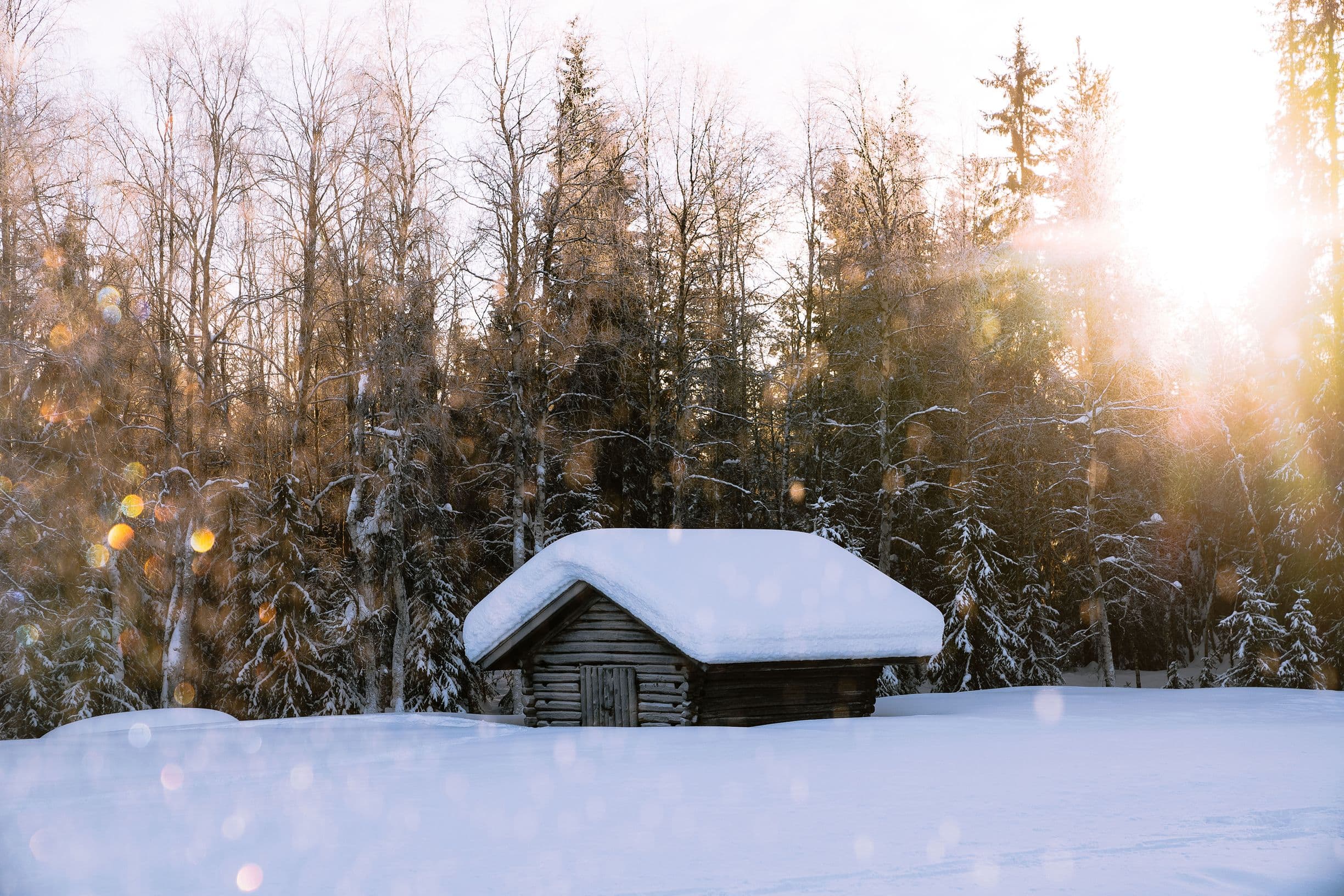 A snow-capped cabin with speckles of sunlight