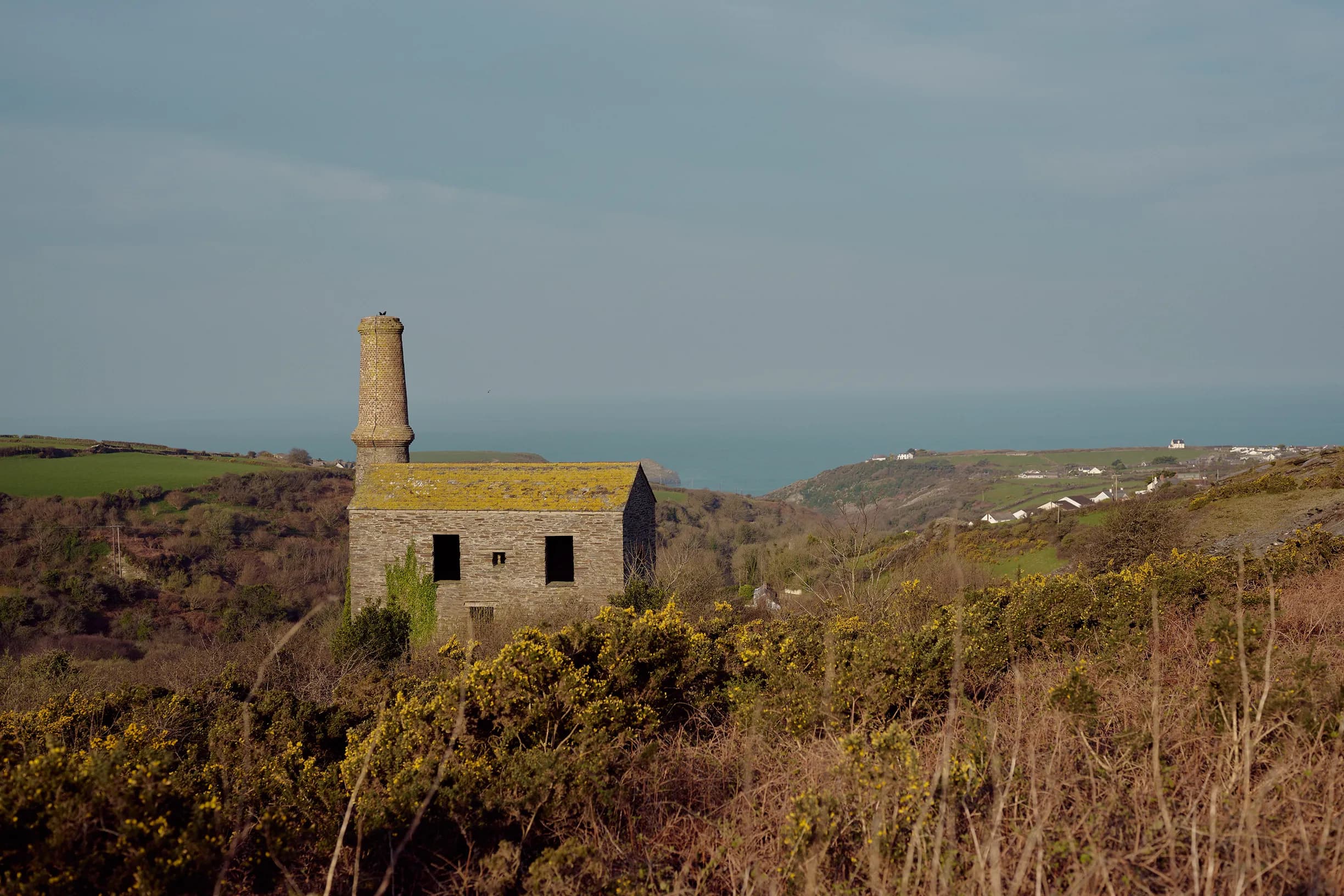 Old stone building with a chimney stands amidst yellow gorse bushes on a hillside, overlooking a coastal landscape and the sea in the distance.