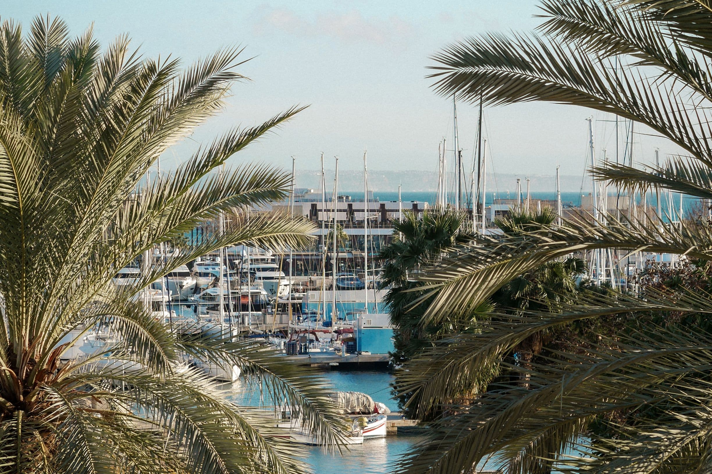 Palm trees framing a marina with sailboats docked on a sunny day, and the sea visible in the background.