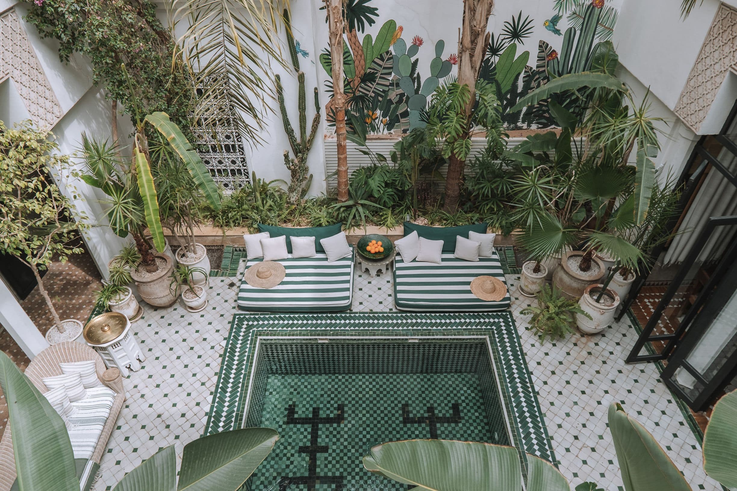 Aerial view of a lush courtyard with a small tiled pool, surrounded by green plants, striped seating, and a mural of cacti on the wall.