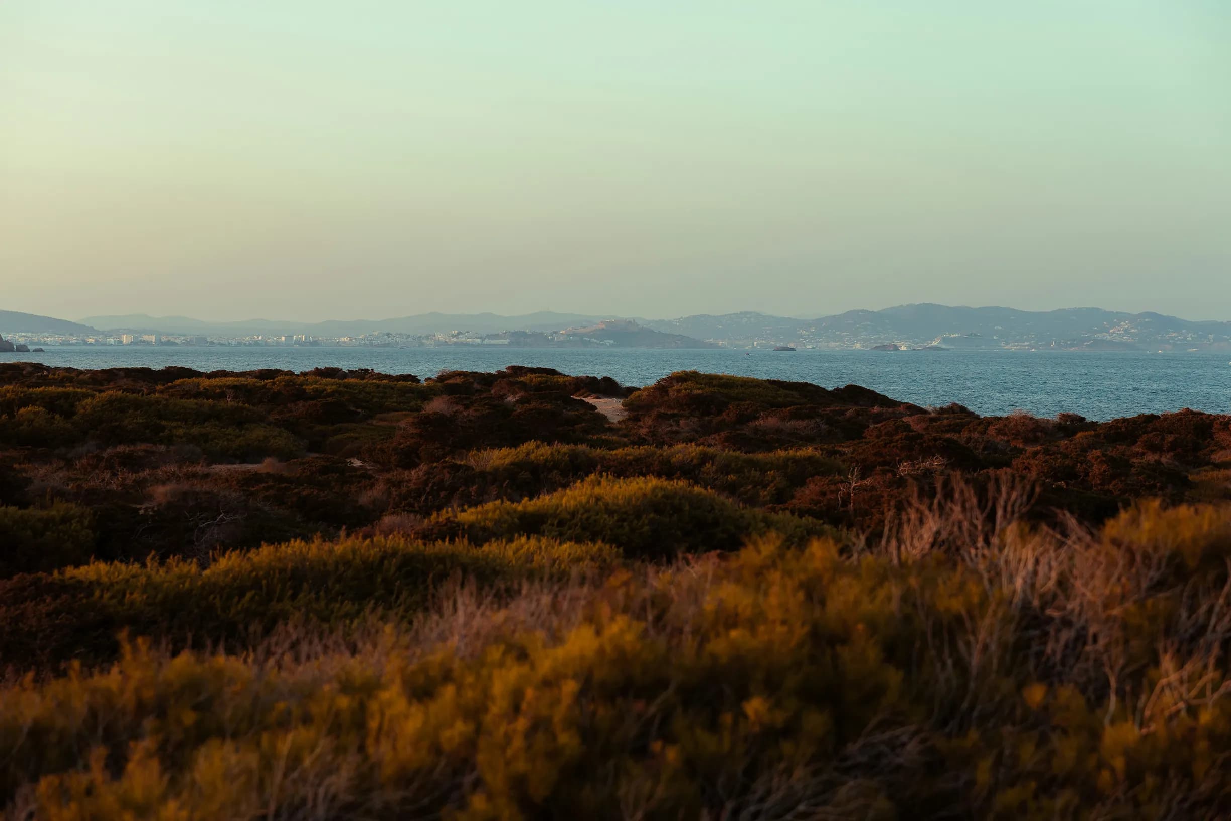 Coastal landscape with dense shrubs in the foreground, calm sea in the middle, and distant mountains and town under a clear sky.