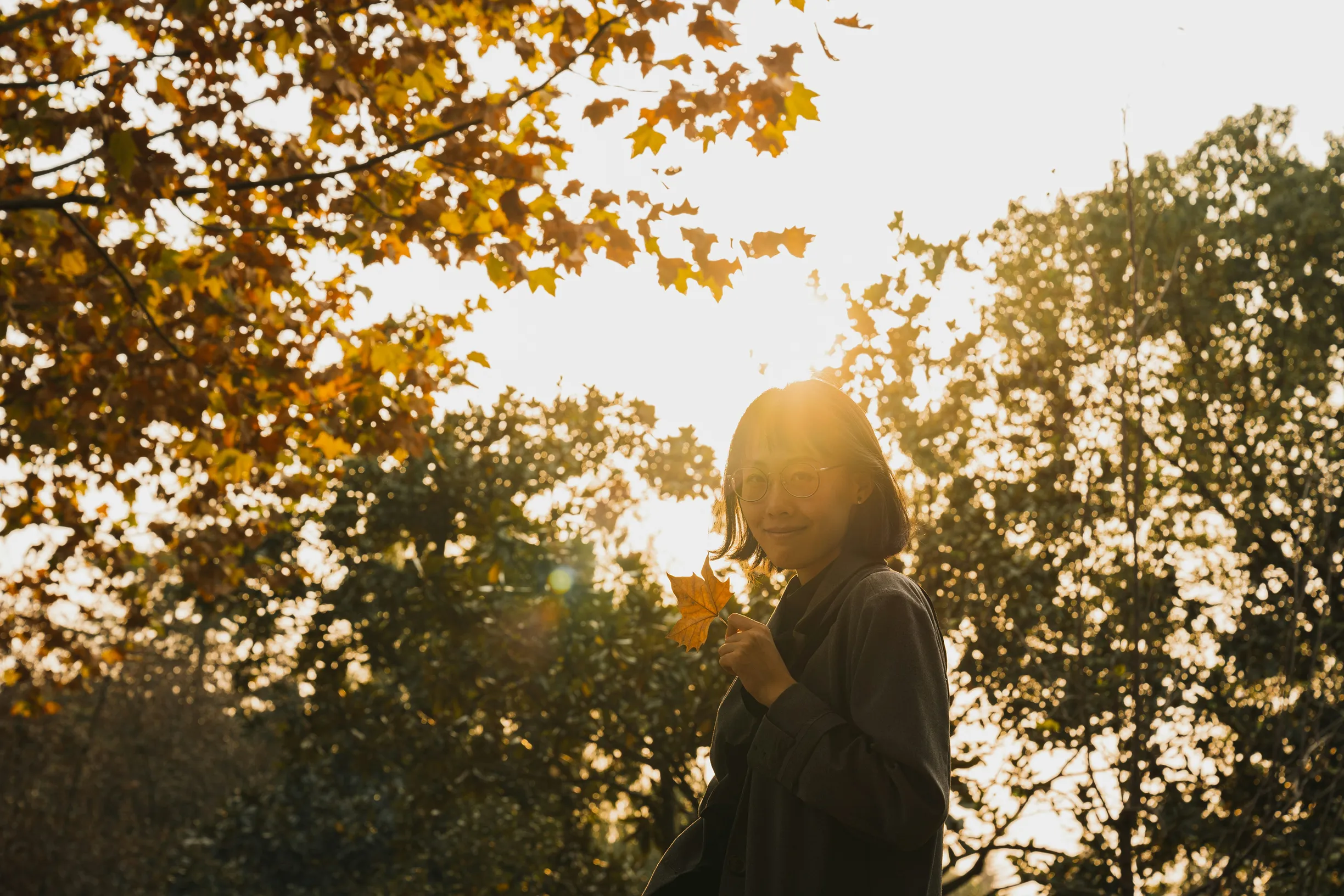 Woman holding autumn leaves, standing in a park with sunlit foliage and trees in the background.