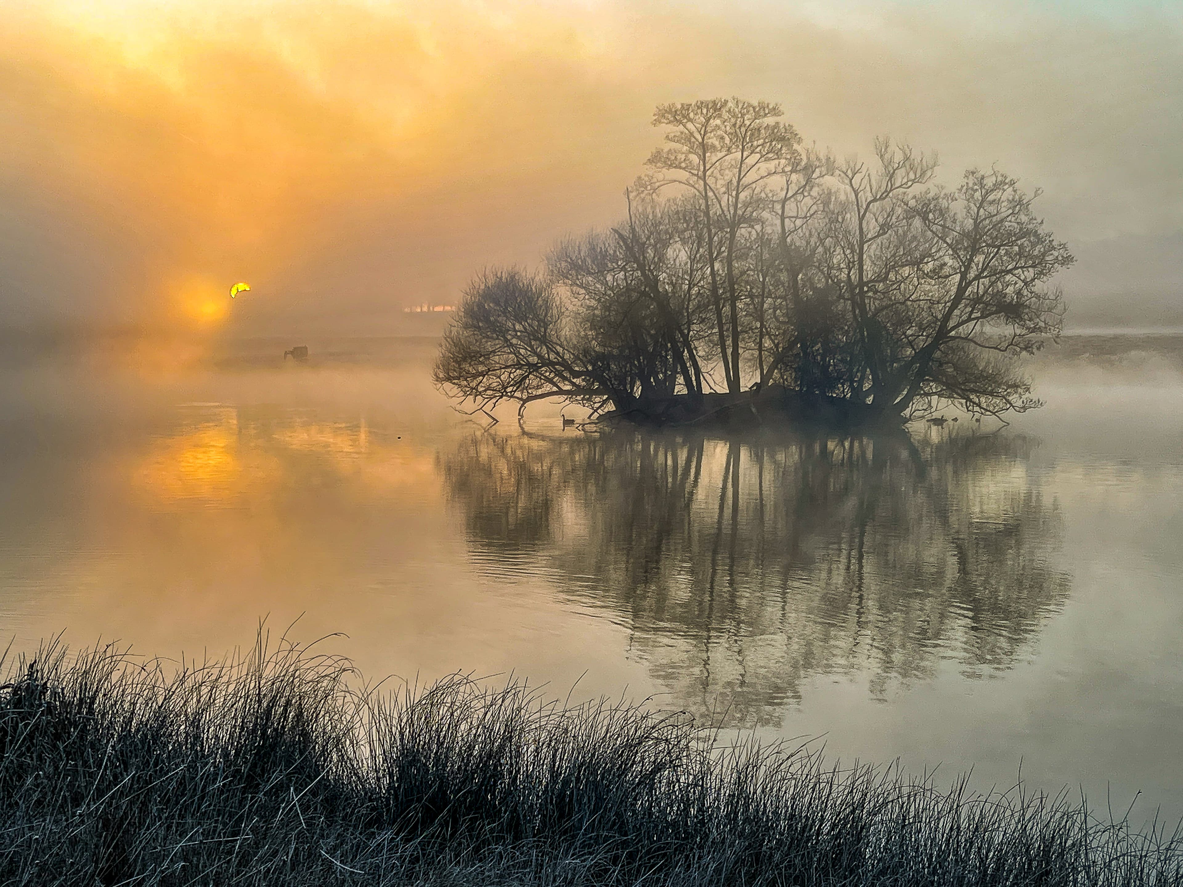 A lake in Richmond Park photographed at Golden Hour