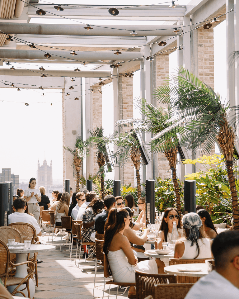 People dining at an outdoor rooftop restaurant with wicker chairs, tropical plants, and string lights under a pergola on a sunny day.