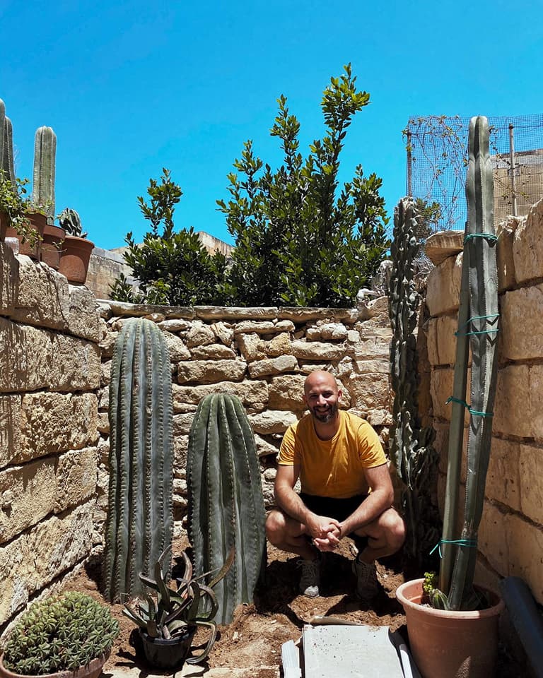Man in a yellow shirt crouching between tall cacti and stone walls, under a clear blue sky.