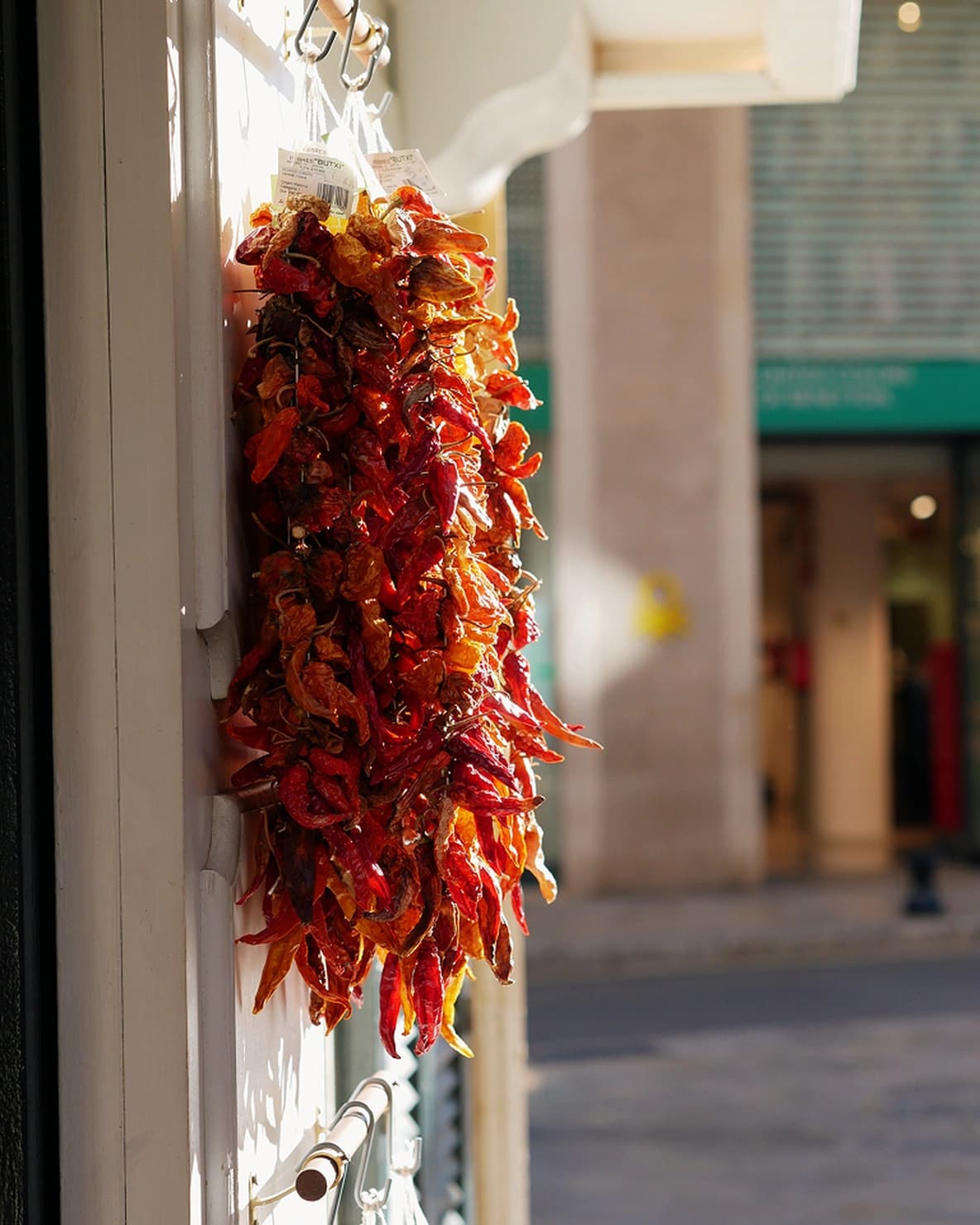 A bundle of dried red peppers hangs on a sunny white wall, with a blurred street scene in the background.