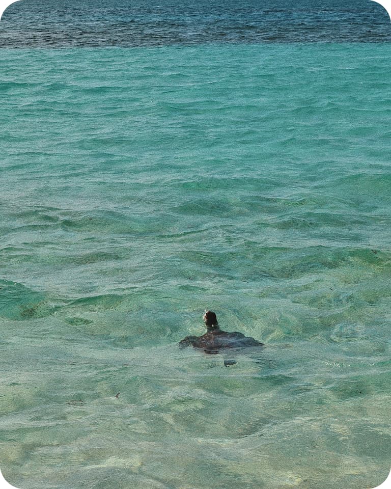Lone swimmer's head and shoulders in clear turquoise water, rippling shallow sea stretching to a darker horizon.