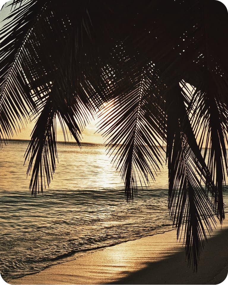 Sunset over calm ocean with golden light reflecting on water and sandy beach, framed by silhouetted palm fronds.