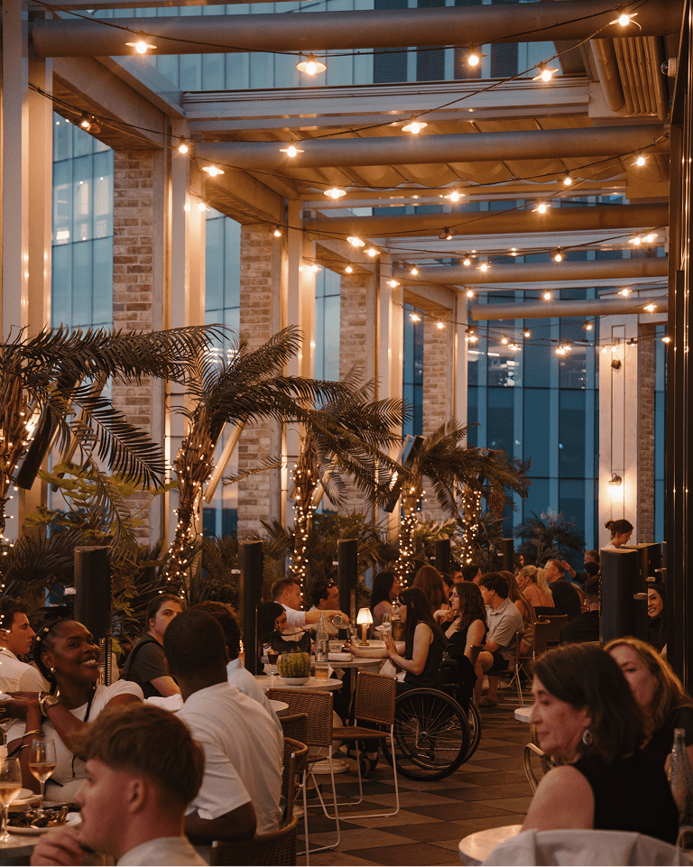 People dine on a rooftop with string lights and palm trees, creating a warm and vibrant evening atmosphere.