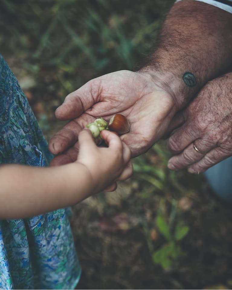 An adult's tattooed hand giving acorns to a child in a floral dress, signifying a moment of sharing in a natural setting.