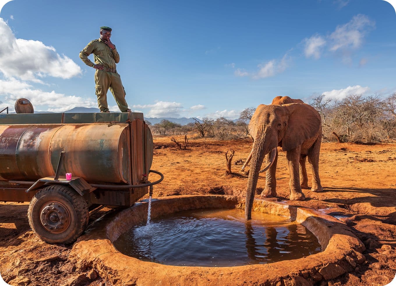 A person stands on a water tanker observing an elephant drinking from a round trough in a dry, arid landscape under a blue sky.