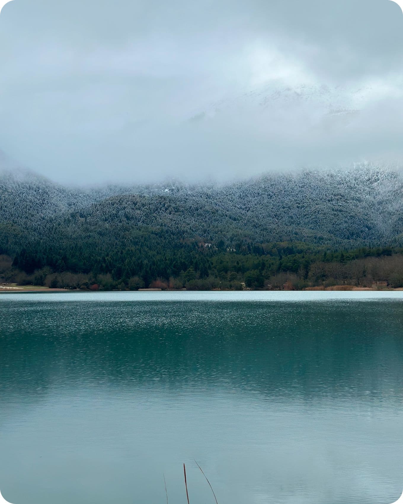 Calm lake with a forested shoreline and snow-dusted mountains under a cloudy sky.