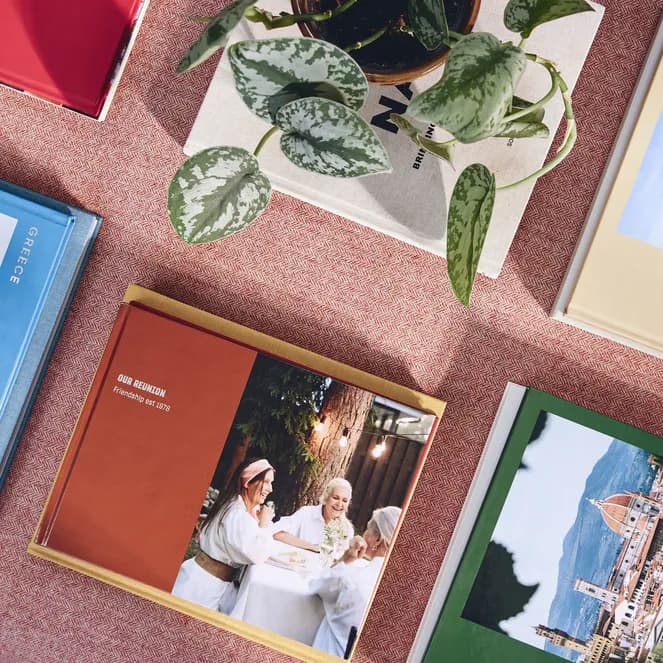 A collection of colorful books on travel and friendship, a potted plant, and a decorative ceramic piece arranged on a textured surface.