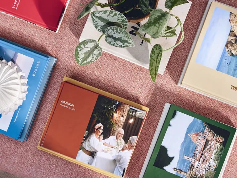 A collection of colorful books on travel and friendship, a potted plant, and a decorative ceramic piece arranged on a textured surface.